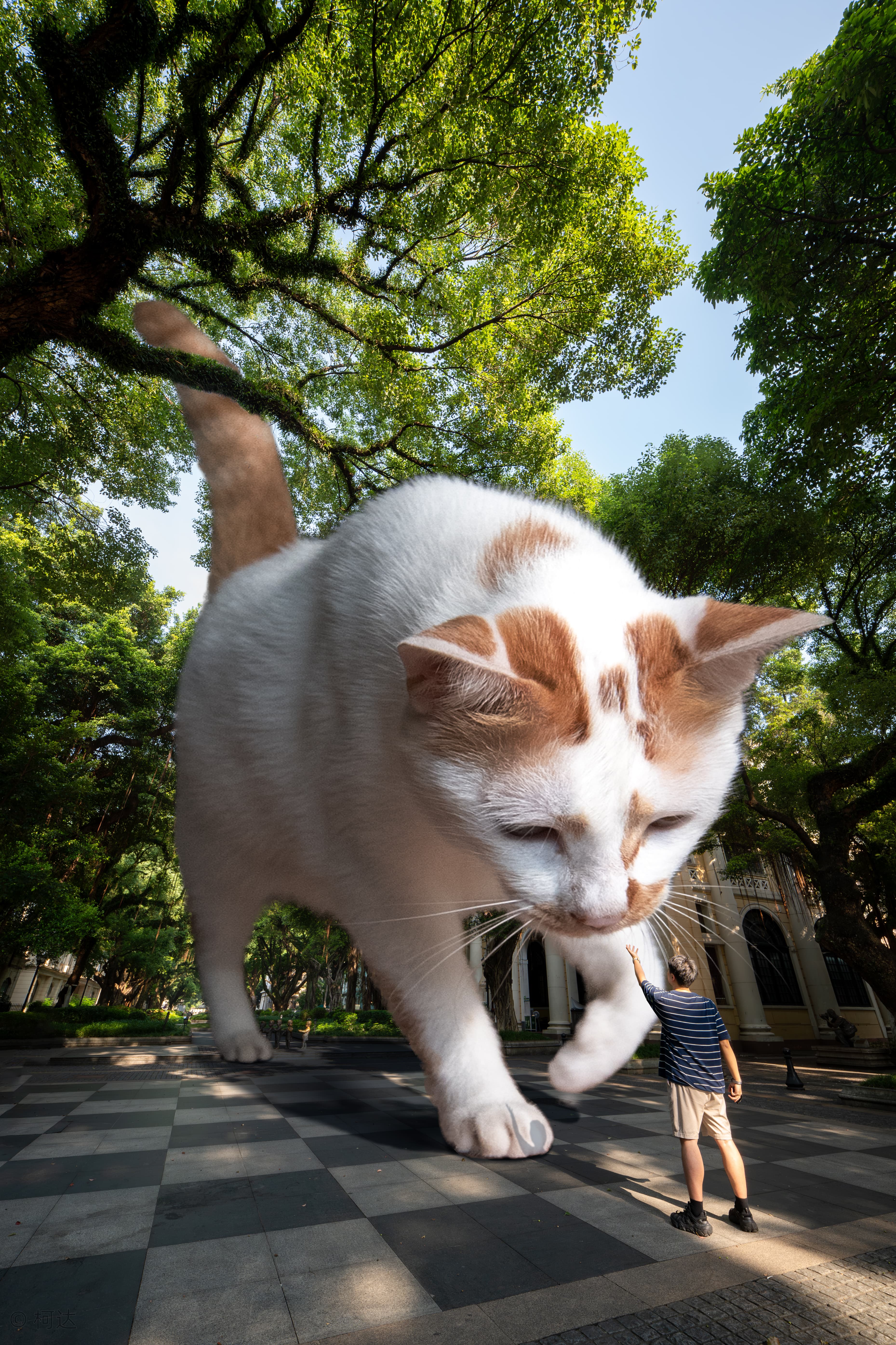 作者姓名：柯达&nbsp;&nbsp;&nbsp;&nbsp;镜头型号：FFⅡ AF12mm F2.8 C&D-Dreamer